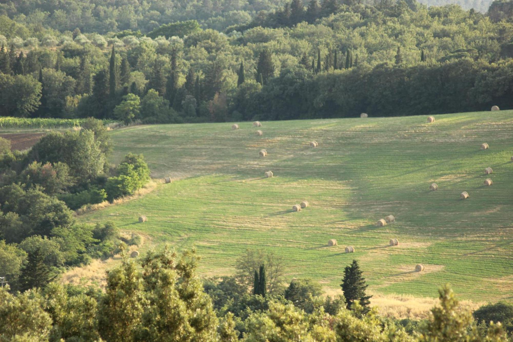 Antico Borgo Poggiarello Country house *